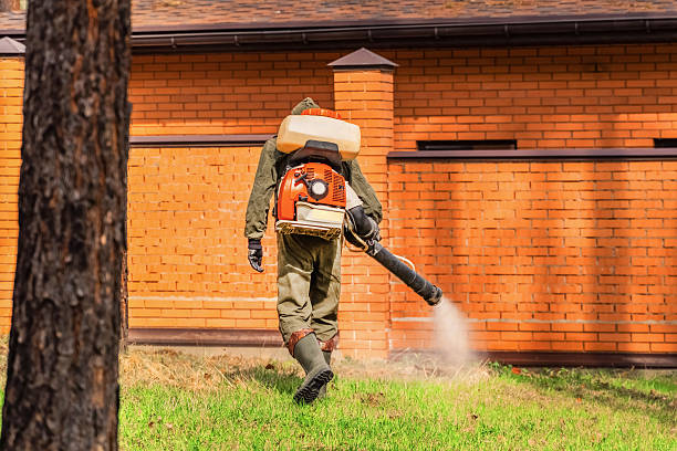 Bed Bug Clearance Verification and Documentation in Stephens City